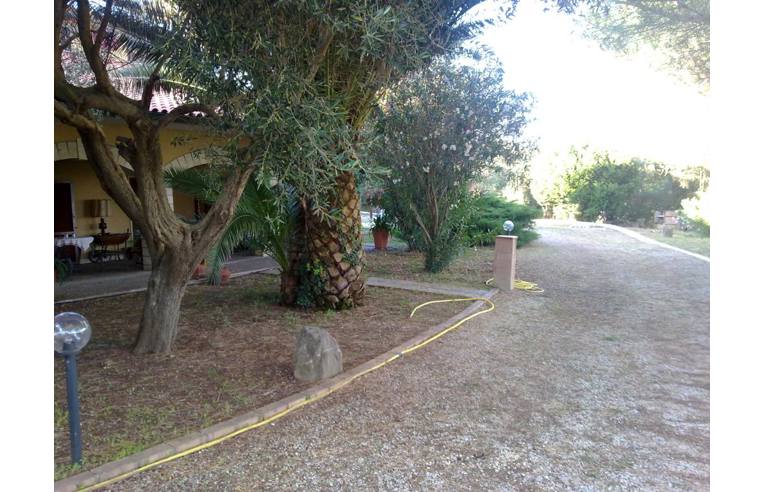 immagine annuncio 6 di 7