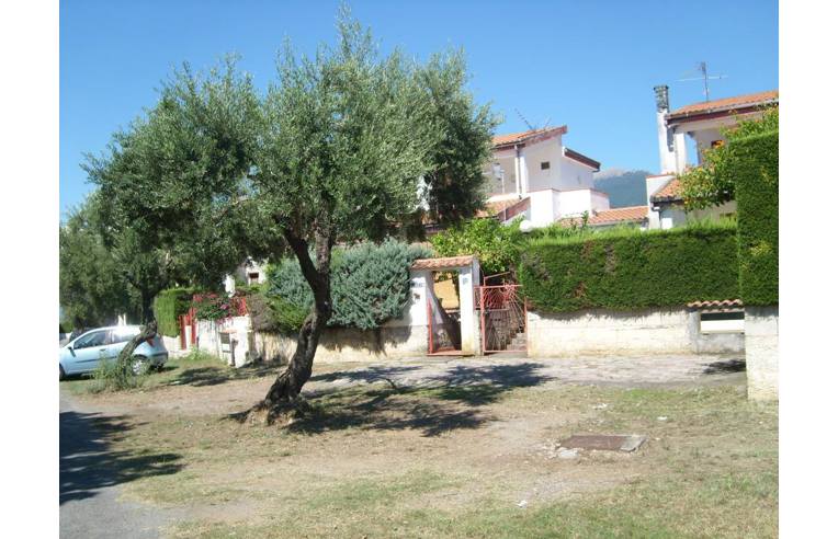 immagine annuncio 6 di 7