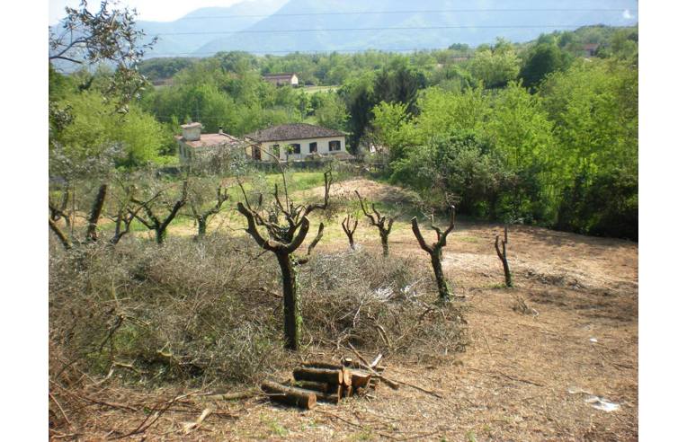 immagine annuncio 4 di 7