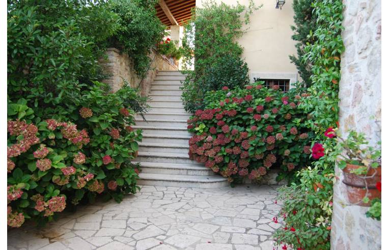 Foto 5 - Rustico/Casale in Vendita da Privato - Narni, Frazione Montoro