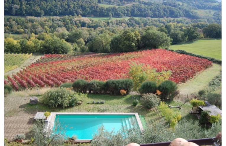 Foto 8 - Rustico/Casale in Vendita da Privato - Narni, Frazione Montoro