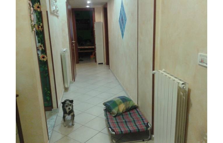 immagine annuncio 1 di 7
