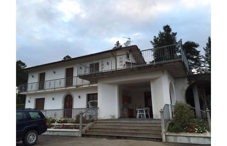 immagine annuncio 1 di 2