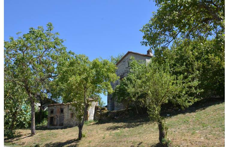 immagine annuncio 1 di 2