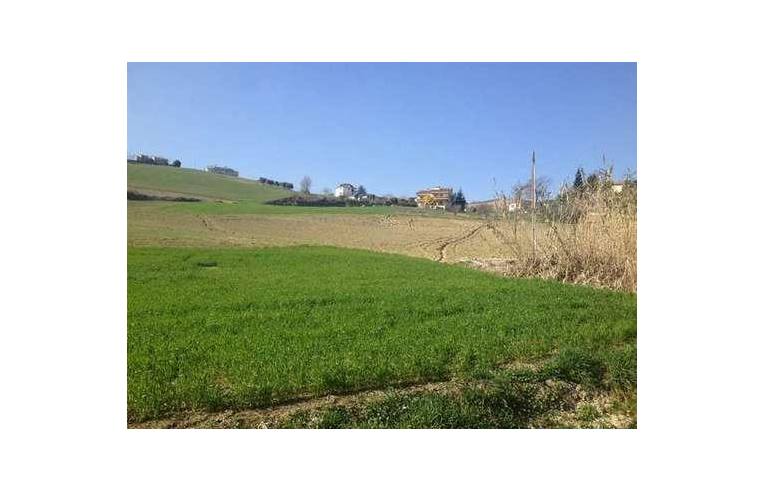 Foto 2 - Rustico/Casale in Vendita da Privato - Rotella (Ascoli Piceno)