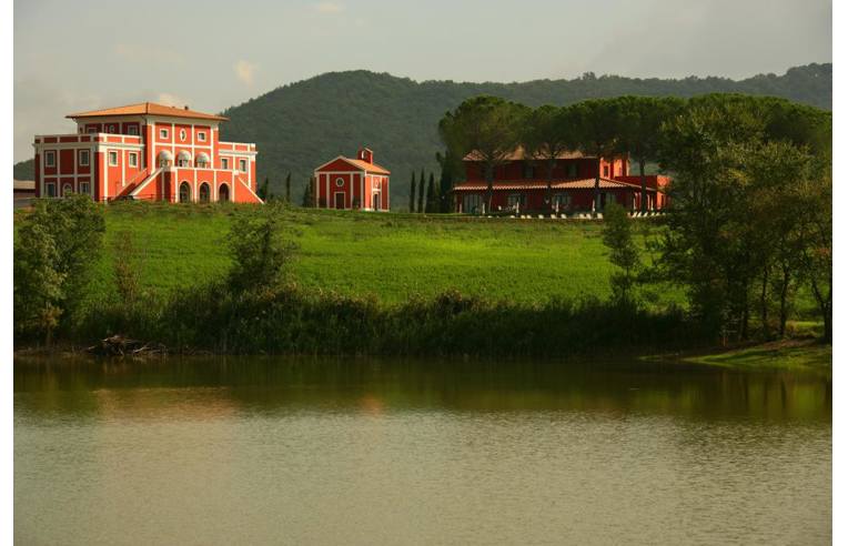 immagine annuncio 6 di 7
