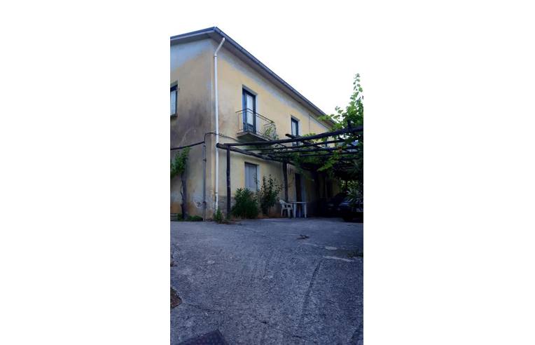 immagine annuncio 3 di 4