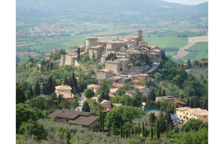 immagine annuncio 3 di 7