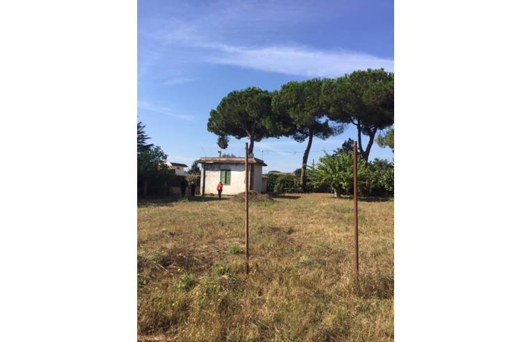 immagine annuncio 2 di 7