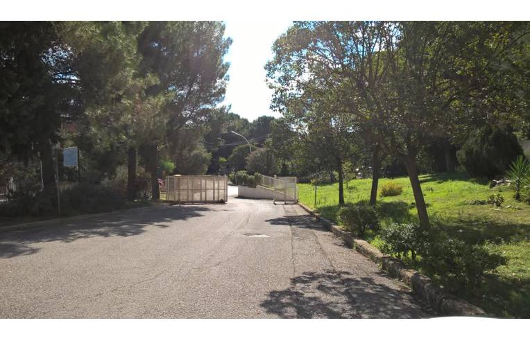 Foto 8 - Appartamento in Vendita da Privato - Caltanissetta (Caltanissetta)