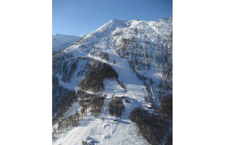 immagine annuncio 1 di 2