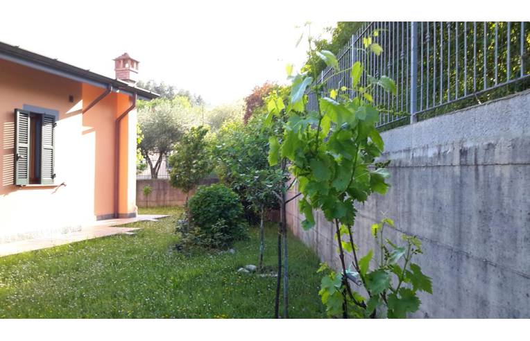 immagine annuncio 3 di 7