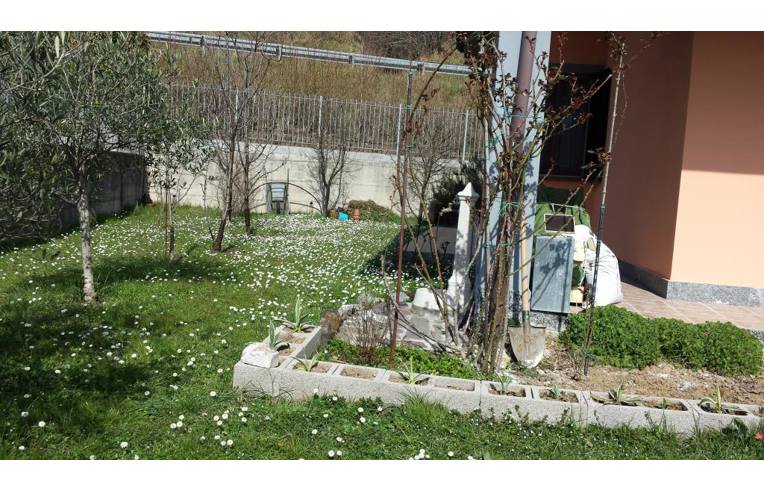 immagine annuncio 4 di 7