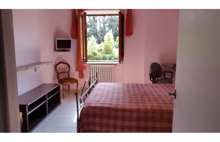 immagine annuncio 2 di 7