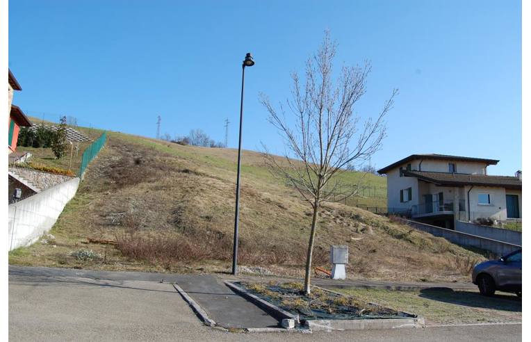 Foto 2 - Altro in Vendita da Privato - Canossa (Reggio nell'Emilia)
