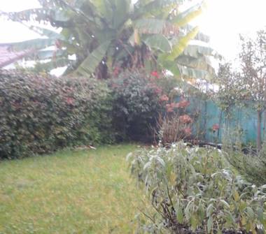 Villetta a schiera in vendita a Boara Pisani (Padova)