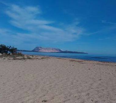 Trilocale in affitto a San Teodoro, Frazione Badualga