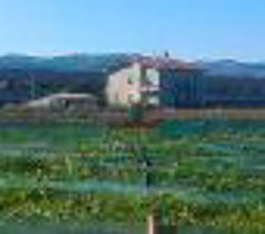 Terreno Agricolo/Coltura in vendita a Monteprandone, Frazione Centobuchi