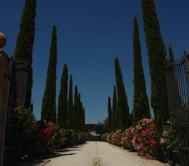 Rustico/Casale in vendita a Cortona, Frazione Fratta Santa Caterina