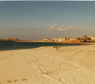 Affitto Baita/Chalet/Trullo Vacanze a Trinità d'Agultu e Vignola, Frazione Isola Rossa