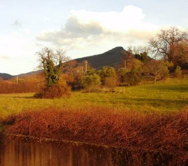 Bilocale in affitto a Viterbo (Viterbo)