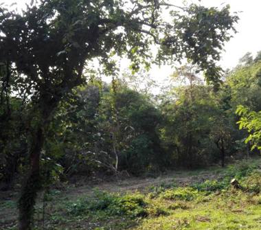 Terreno Agricolo/Coltura in vendita a Genova, Zona Bolzaneto