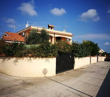 Villa in vendita a Ardea, Frazione Tor San Lorenzo