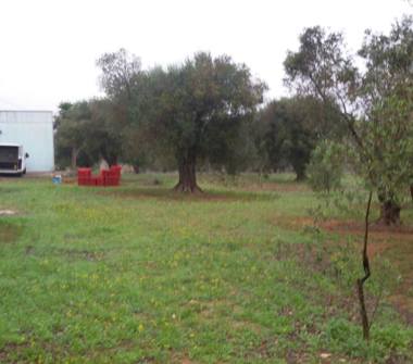 Altro in vendita a Melendugno, Frazione San Foca