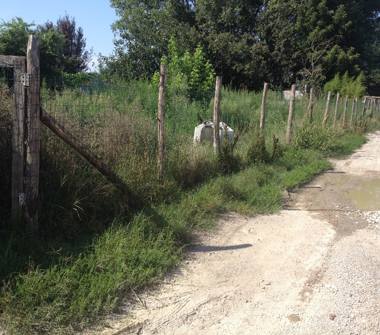 Casa indipendente in vendita a Brescello, Frazione Ghiarole