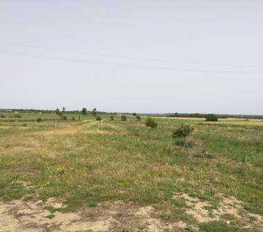 Rustico/Casale in vendita a Racale (Lecce)