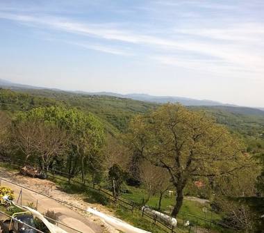 Appartamento in vendita a Scansano (Grosseto)