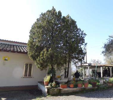 Villa in vendita a Giove (Terni)