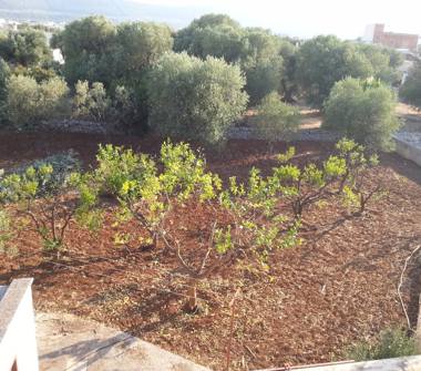 Villa in vendita a Fasano (Brindisi)