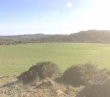 Terreno Agricolo/Coltura in vendita a Santa Teresa Gallura (Sassari)