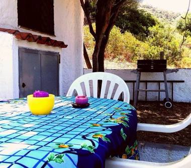 Affitto Appartamento Vacanze a Budoni, Frazione Tanaunella