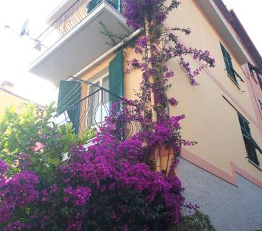 Offerta Vacanze Bed & Breakfast a La Spezia, Zona Pitelli