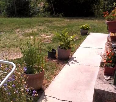 Casa indipendente in vendita a Altavilla Monferrato, Frazione Franchini