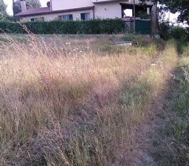 Terreno Edificabile Residenziale in vendita a Giano dell'Umbria, Frazione Bastardo