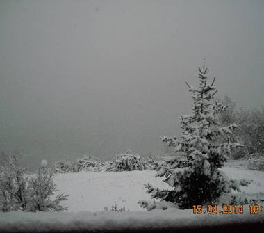 Villetta a schiera in vendita a Santa Croce del Sannio (Benevento)