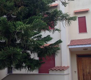 Affitto Casa Vacanze a Galatone (Lecce)