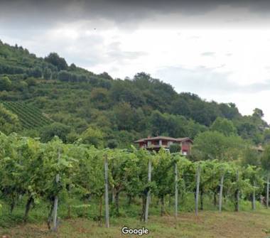 Terreno Agricolo/Coltura in vendita a Albano Sant'Alessandro (Bergamo)