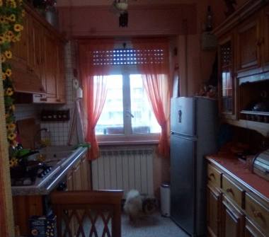 Attico in vendita a Roma, Zona Alessandrino