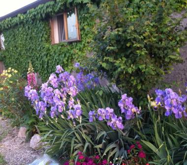 Villa in vendita a Ceneselli (Rovigo)