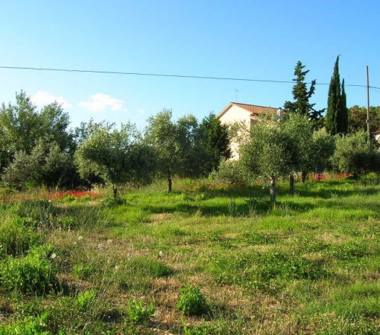Terreno Edificabile Residenziale in vendita a Calvi dell'Umbria, Frazione Poggiolo
