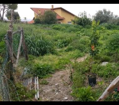 Terreno Agricolo/Coltura in vendita a San Bartolomeo al Mare (Imperia)