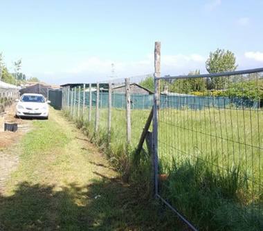 Terreno Agricolo/Coltura in vendita a Viareggio (Lucca)