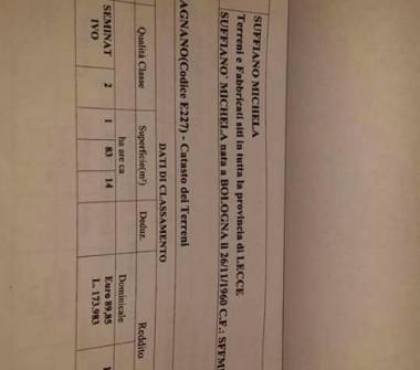 Terreno Agricolo/Coltura in vendita a San Donato di Lecce (Lecce)