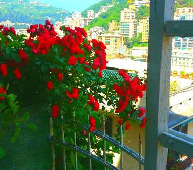 Trilocale in vendita a Genova, Zona Marassi