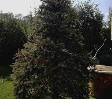 Villa in vendita a Sant'Angelo Romano (Roma)