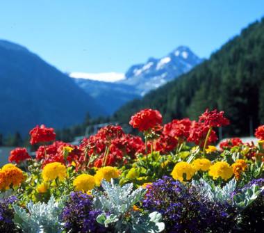  Attività commerciale in vendita a Lecce (Lecce)